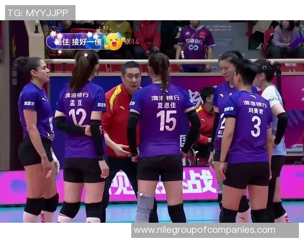 女排天津对阵河南精彩直播全程回顾与赛后分析尽在这里