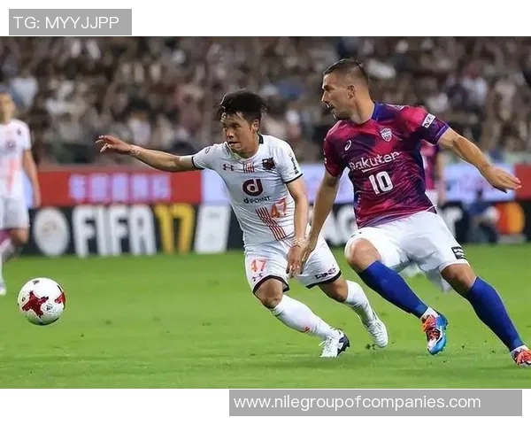 金泽塞维与新泻激战在即谁能在这场对决中笑到最后